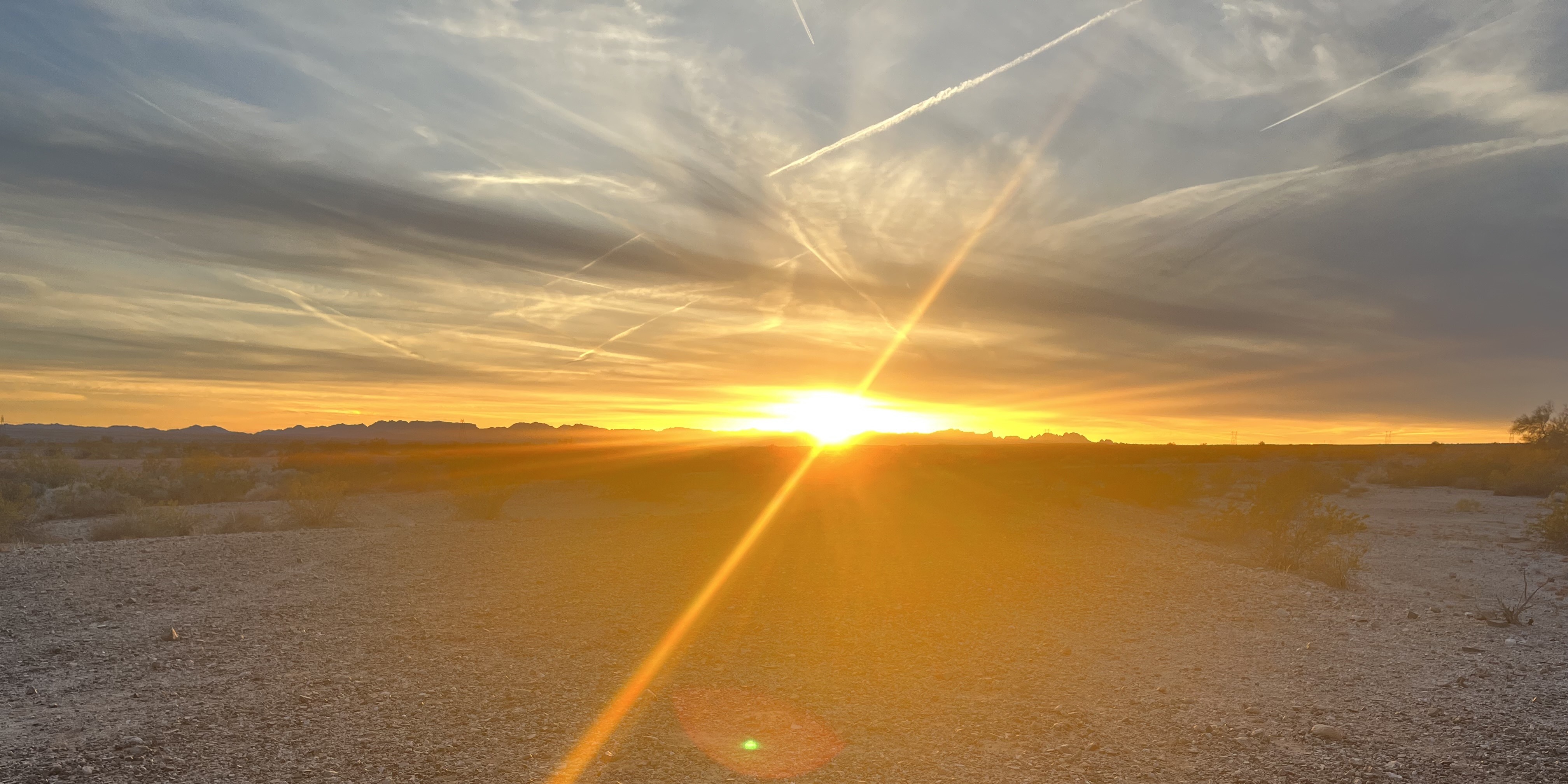 Sunset - Next Level Scorpion and Pest Control